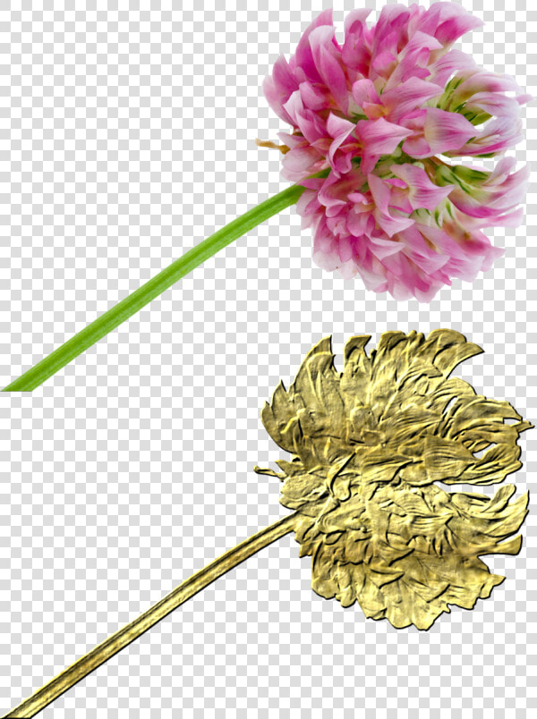 Create Gold Elements  HD Png DownloadTransparent PNG
