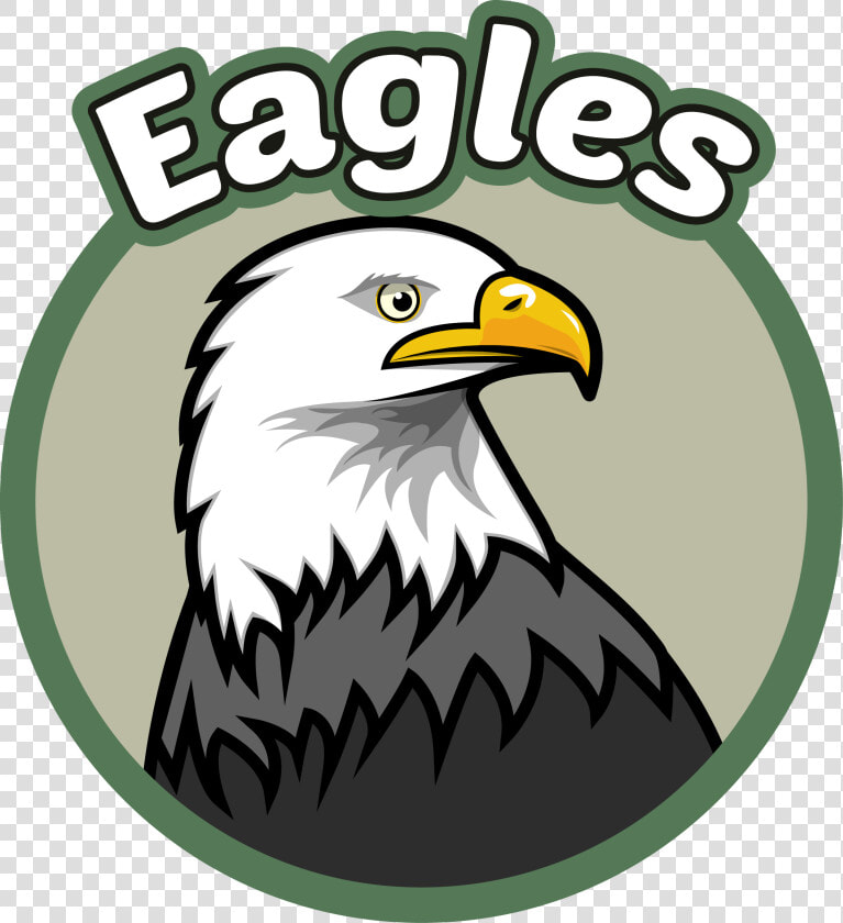 Evergreen Elementary   Evergreen Eagles  HD Png DownloadTransparent PNG