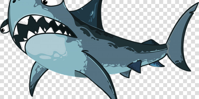 Shark Pun  HD Png DownloadTransparent PNG