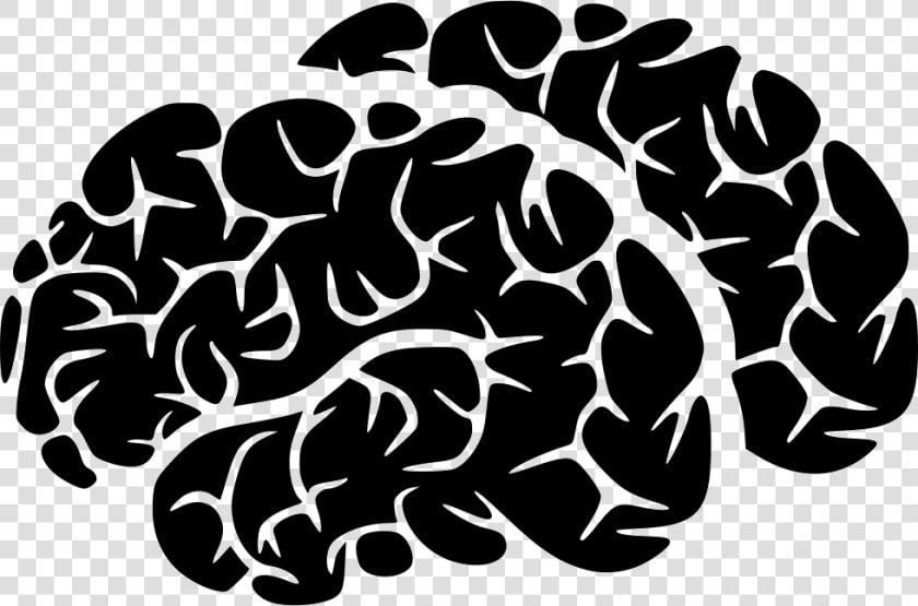 Brains   Illustration  HD Png DownloadTransparent PNG