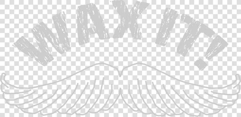 Picture   Eyelash Extensions  HD Png DownloadTransparent PNG