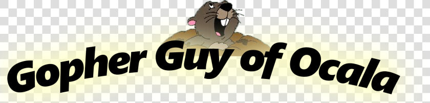 Gopher From Winnie The Pooh  HD Png DownloadTransparent PNG