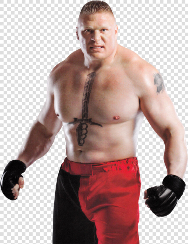 Brock Lesnar Png Hd  Transparent PngTransparent PNG