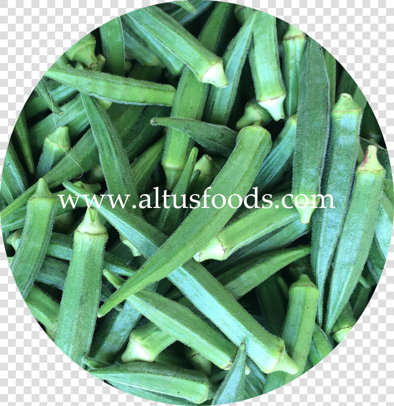 Fresh Indian Okra   Okra  HD Png DownloadTransparent PNG