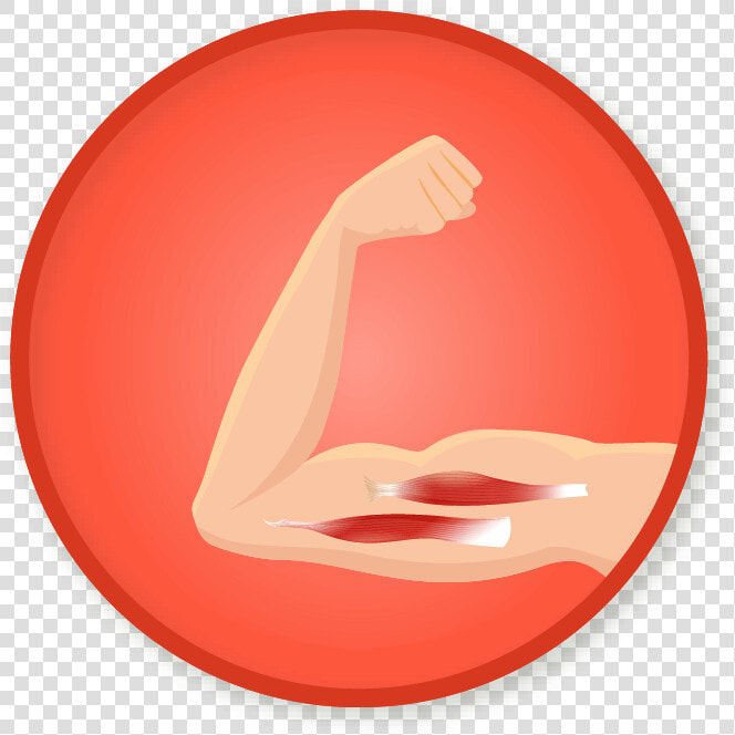 Info Icon  HD Png DownloadTransparent PNG