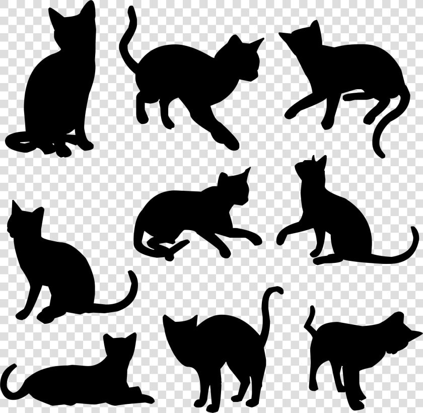 Kitten Siamese Cat Pet Black Cat Clip Art   Silhouette Black Cat  HD Png DownloadTransparent PNG