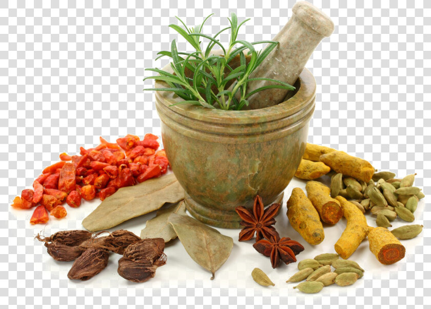 Download Ayurveda Png Free Download   Ayurvedic Png  Transparent PngTransparent PNG