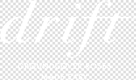 Drift® Groundcover Roses   Johns Hopkins White Logo  HD Png DownloadTransparent PNG