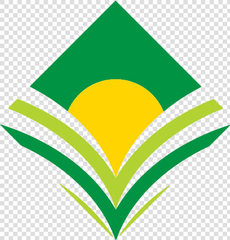 Cotton Logo Of Shreekrishna Cotton Company  HD Png DownloadTransparent PNG