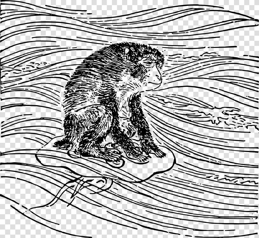 Monkey Rides A Jellyfish Clip Arts  HD Png DownloadTransparent PNG