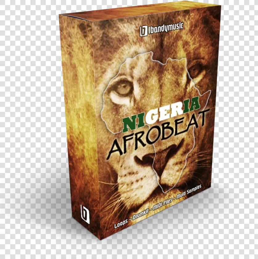 1080p Lion  HD Png DownloadTransparent PNG