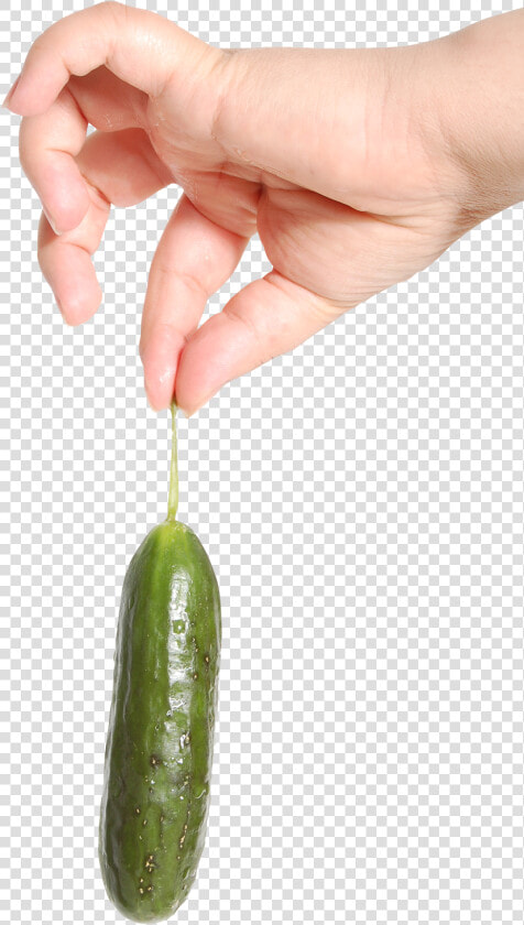 Pngpix   Hand Holding Pickle  Transparent PngTransparent PNG