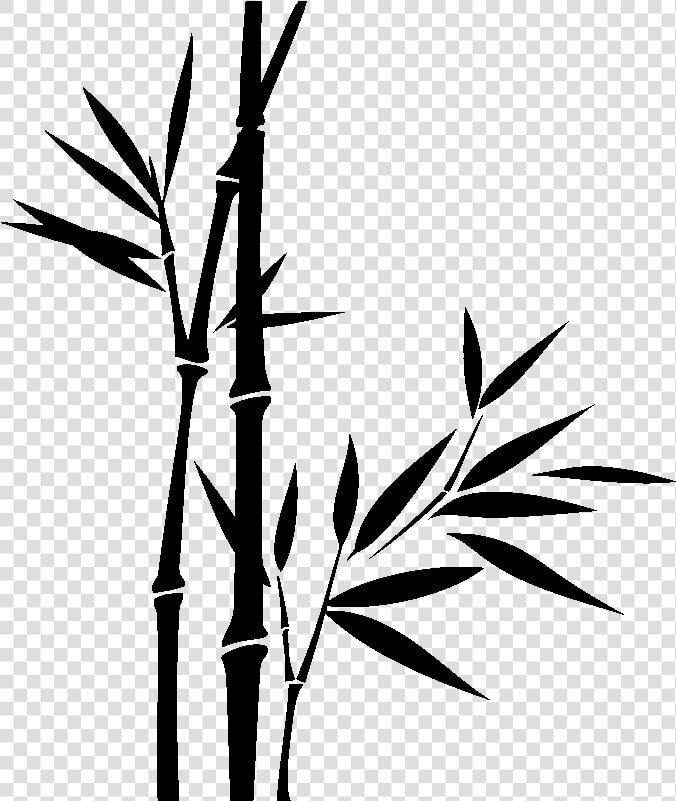 Bamboo Png Download   Bamboo Png Black And White  Transparent PngTransparent PNG