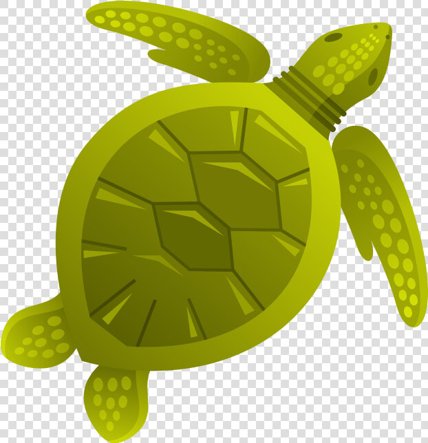 Sea Creatures Design  HD Png DownloadTransparent PNG